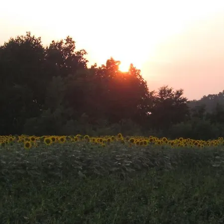 Al Casale Cherasco