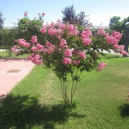 Oda ve Kahvaltı Al Casale 3*