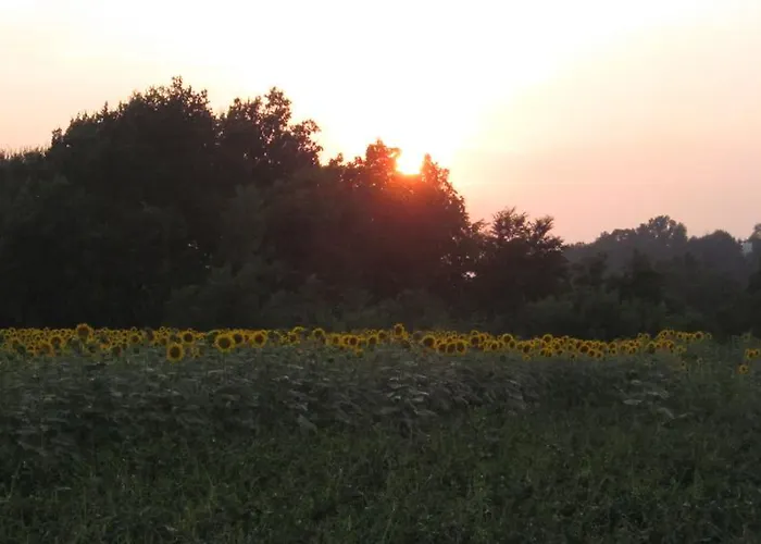 Al Casale Cherasco